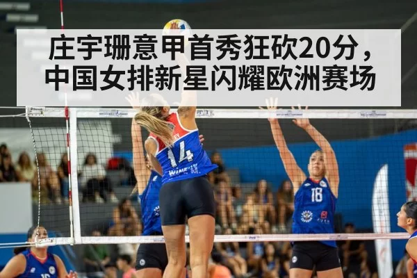 volleyball match